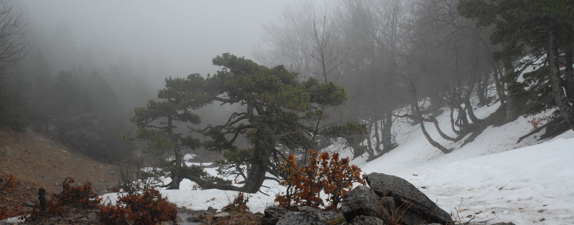 Plaisirs d’hiver Vercors Drômois