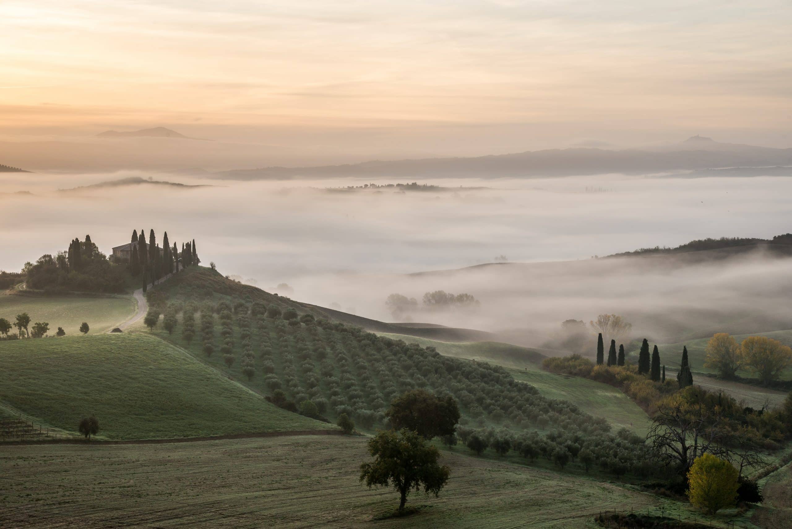 Toscane