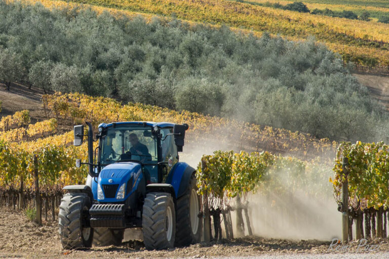 Agriculteur toscan dans son tracteur qui s'occupe de ses vignes