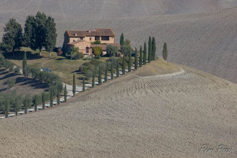 Allée de cyprès d'Italie pour accéder à une maison sur la colline