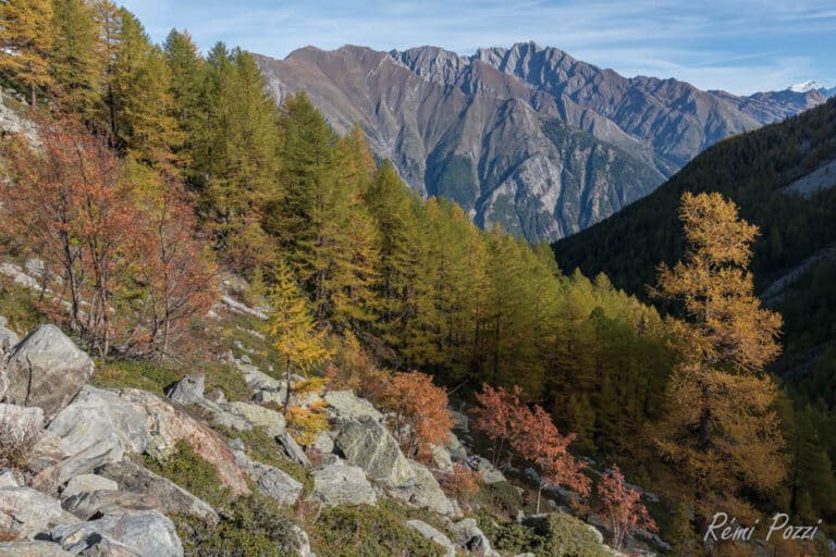 Couleurs automnales sur les pentes du Grand Paradis