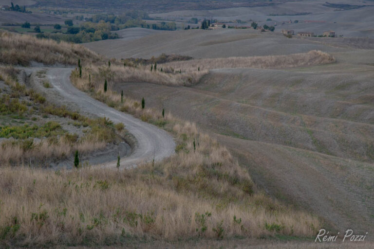 Chemin serpentant dans les plaines vallonnées de Toscane