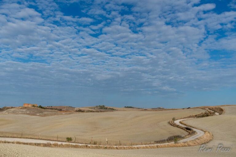 Chemin entre les champs de terre de Toscane