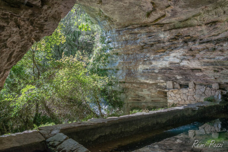 Entrée d'une grotte cachée par la végétation du Lubéron