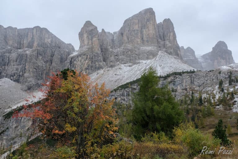 Falaise surplombant une forêt en montagne