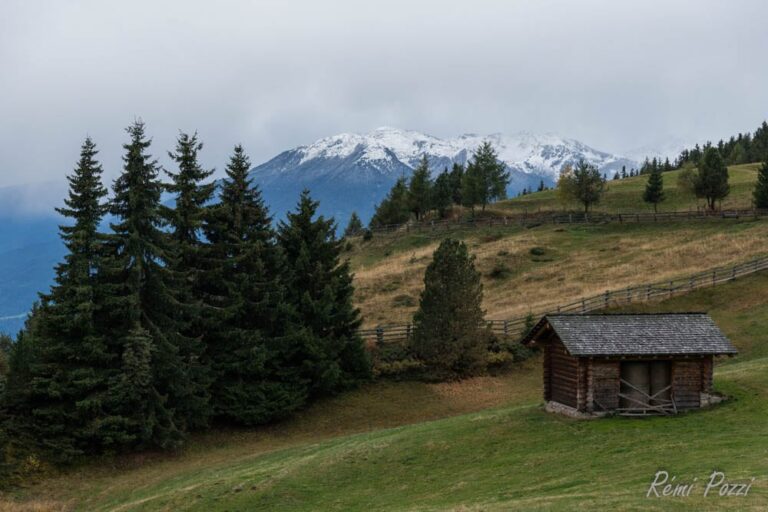 Fenil en altitude sur une plaine des Dolomites