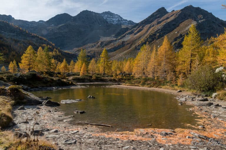 Petit lac dans une clarière en montagne