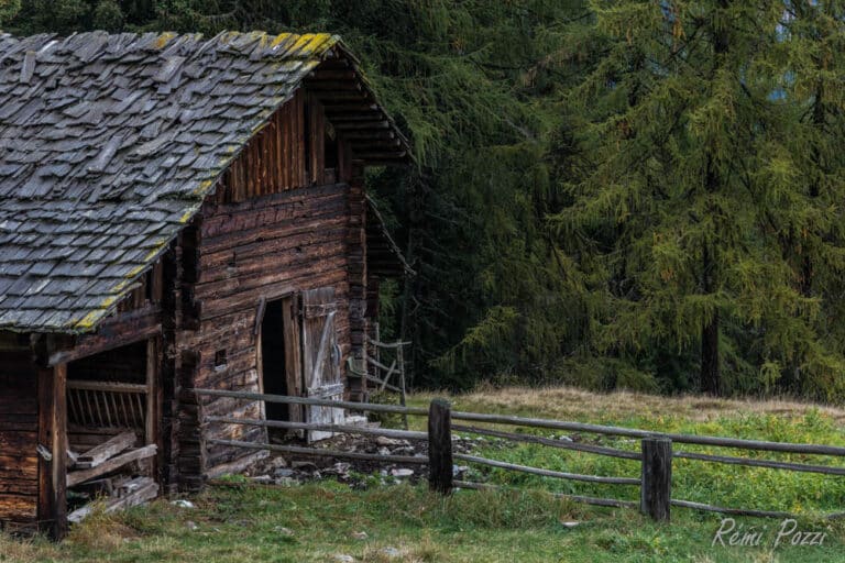 Vielle maison en bois dans une clarière