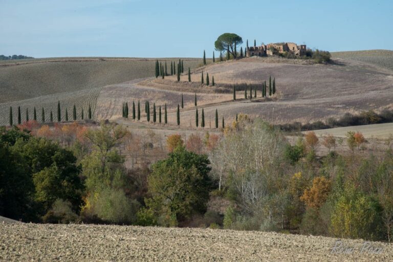 Maison sur une colline surplombant une forêt