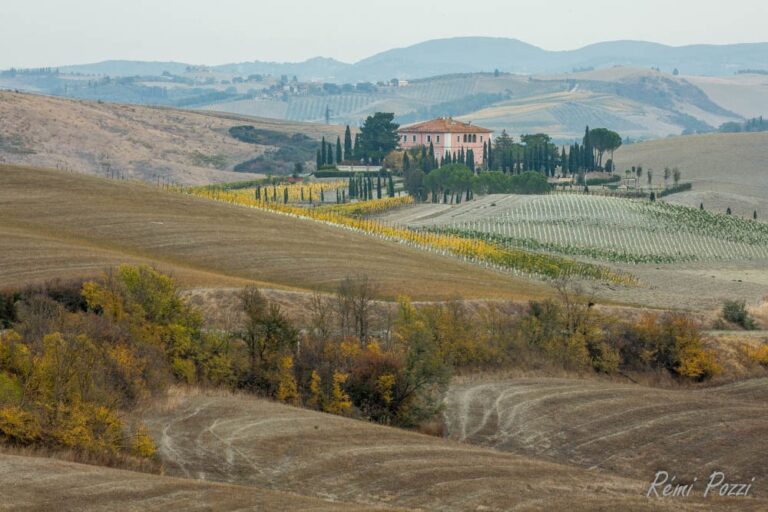 Maison entouré de cyprès dans la campagne toscane