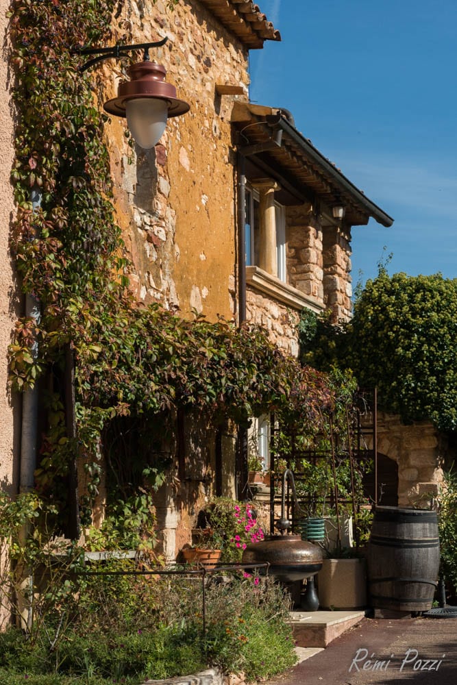 Charmante maison en pierre aux plantes grimpantes