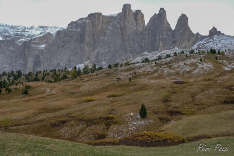 Neige qui laisse apparaitre une vallée verdoyante en fondant