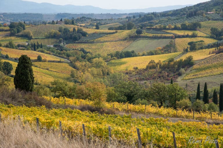 Paysage de Toscane pittoresque