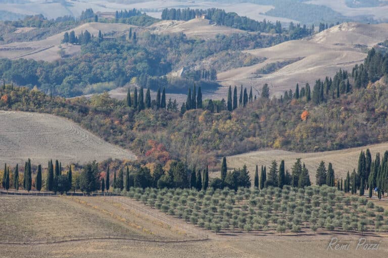 Paysage verdoyant autour des collines de Toscane