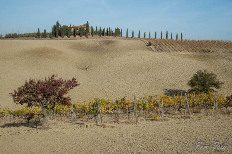 Champ de terre et plantation autour d'une maison