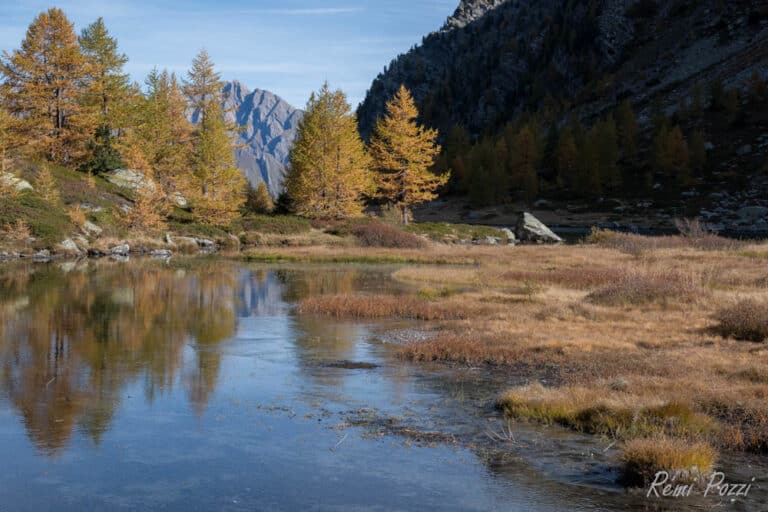 Rivière serpentant entre les arbres dans une vallée