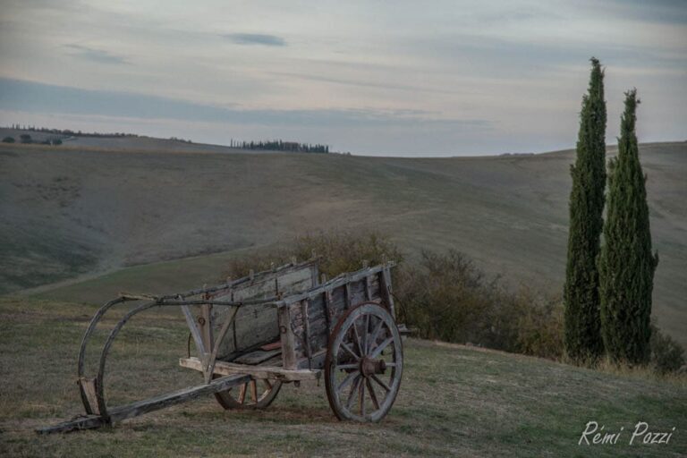 Vielle charrette en bois sur les plaines vallonées de Toscane