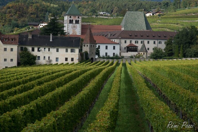 Vignoble en terrasse autour d'un village