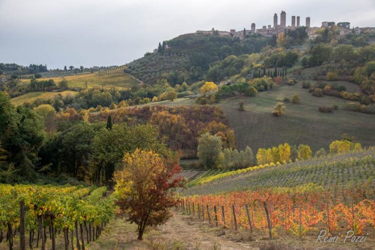 Village toscan sur une colline surplombant les plantations et les forêts