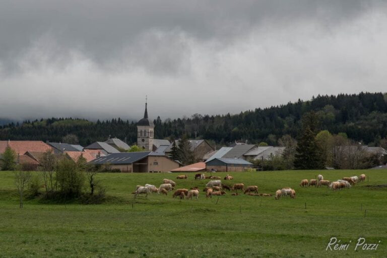 Paysage de la campagne de Brénod