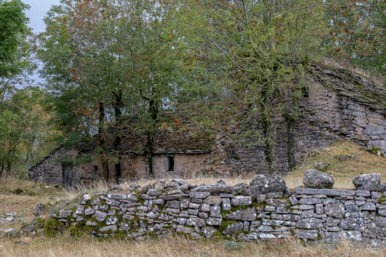 Vielle ferme en pierre cachée par les arbres