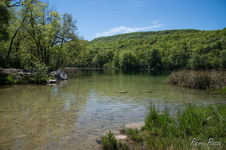 Lac d'Ambléon par beau temps entouré par la végétation