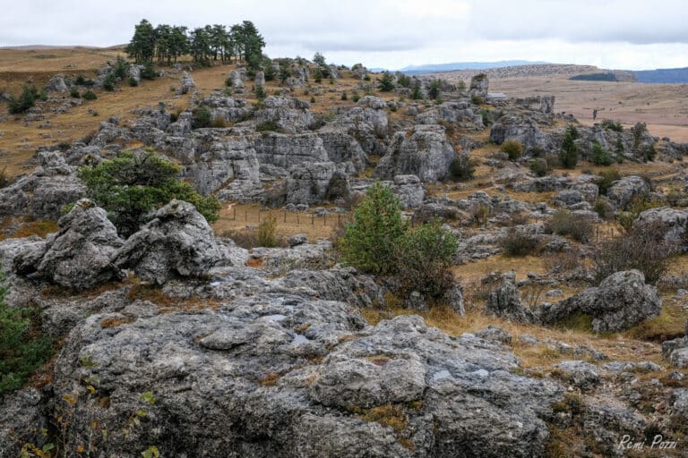 Paysage rocailleux dans les grands causses