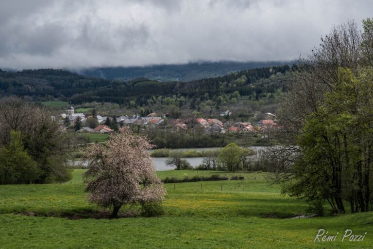 Vue sur le village de Brénod depuis un champ