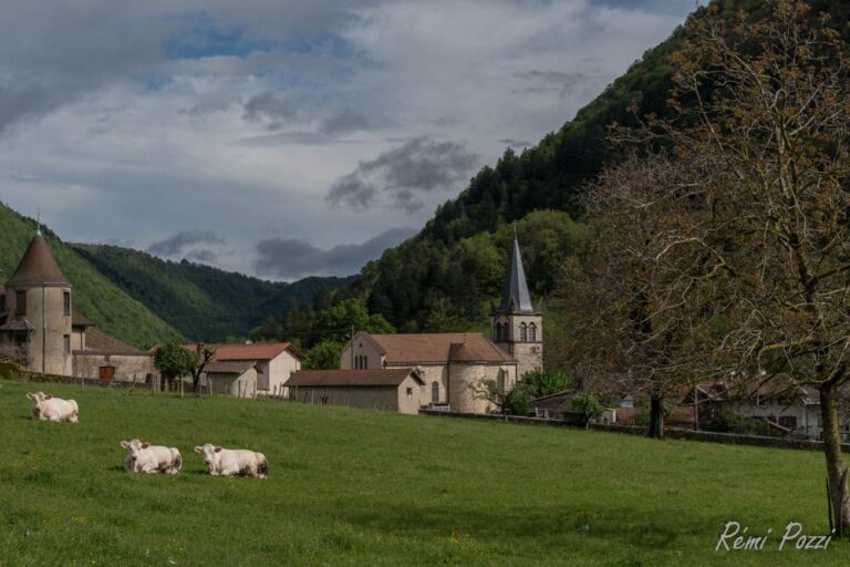 Village de Oncieu entouré de pâturages