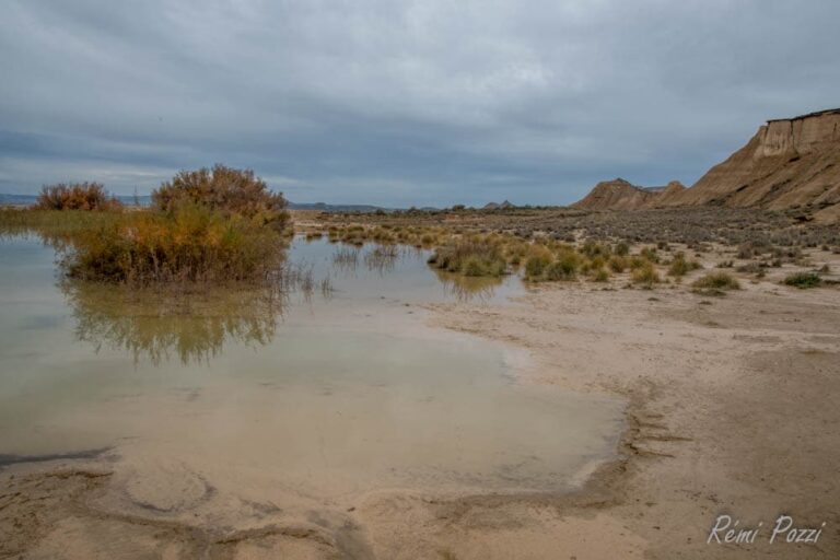 Point d'eau dans le désert des Bardenas en Espagne