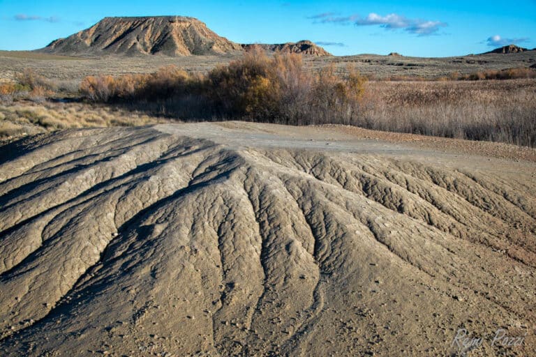 Rare végétation dans le désert des Bardenas en Espagne