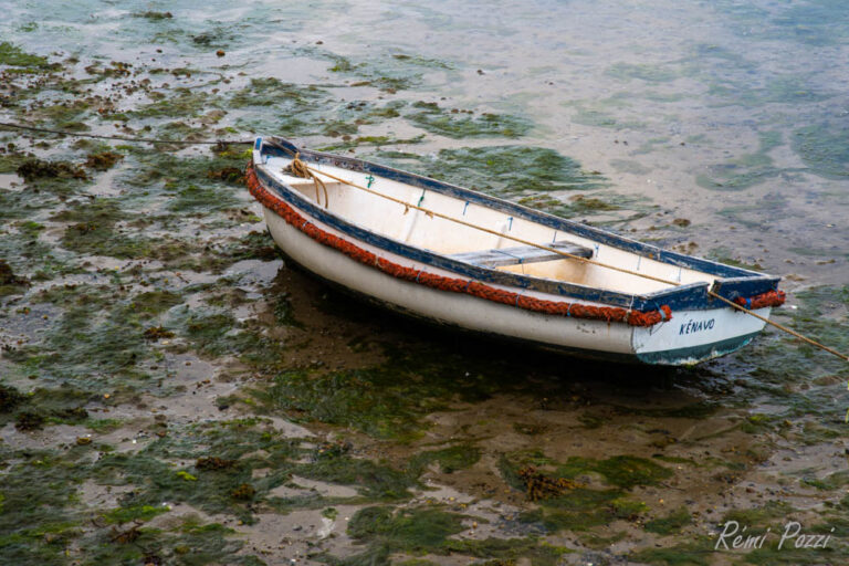 Petite barque sur des algues