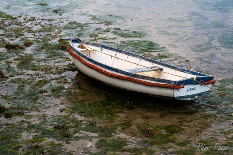 Petite barque sur des algues